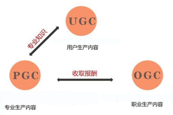 打造靠谱体育直播APP与网站的关键开发要点